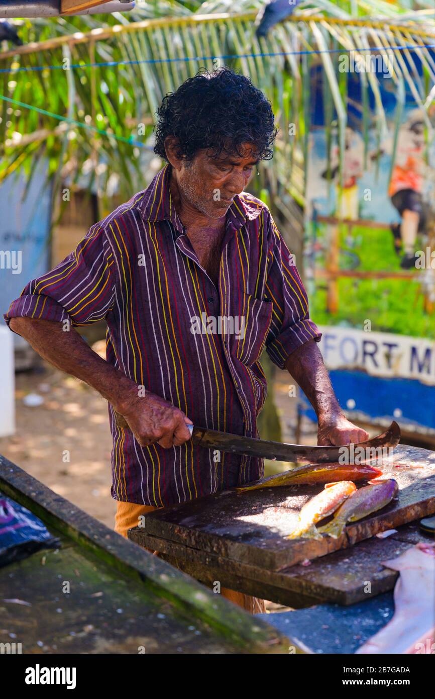 Sur de Asia Sri Lanka Fort Galle colonial ciudad antiguo puerto puerto pescado fresco puesto pescador pescador pesca cortar pescado tabla salmonete Foto de stock