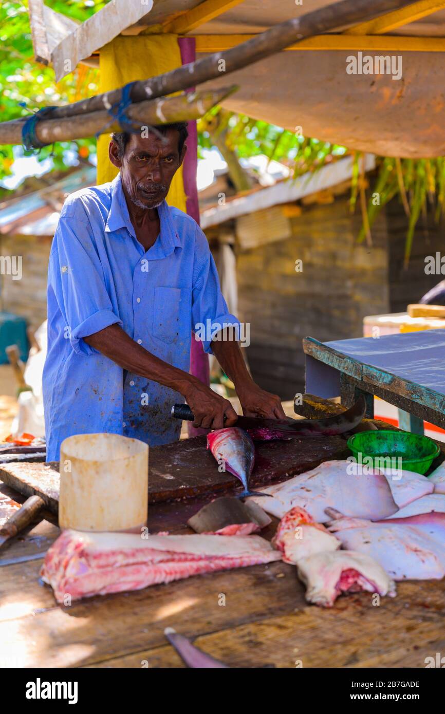 Sur de Asia Sri Lanka Fort Galle colonial ciudad antiguo puerto puerto pescado fresco puesto pescador pescadería cortar pescado tabla de picadura marudos atún Foto de stock