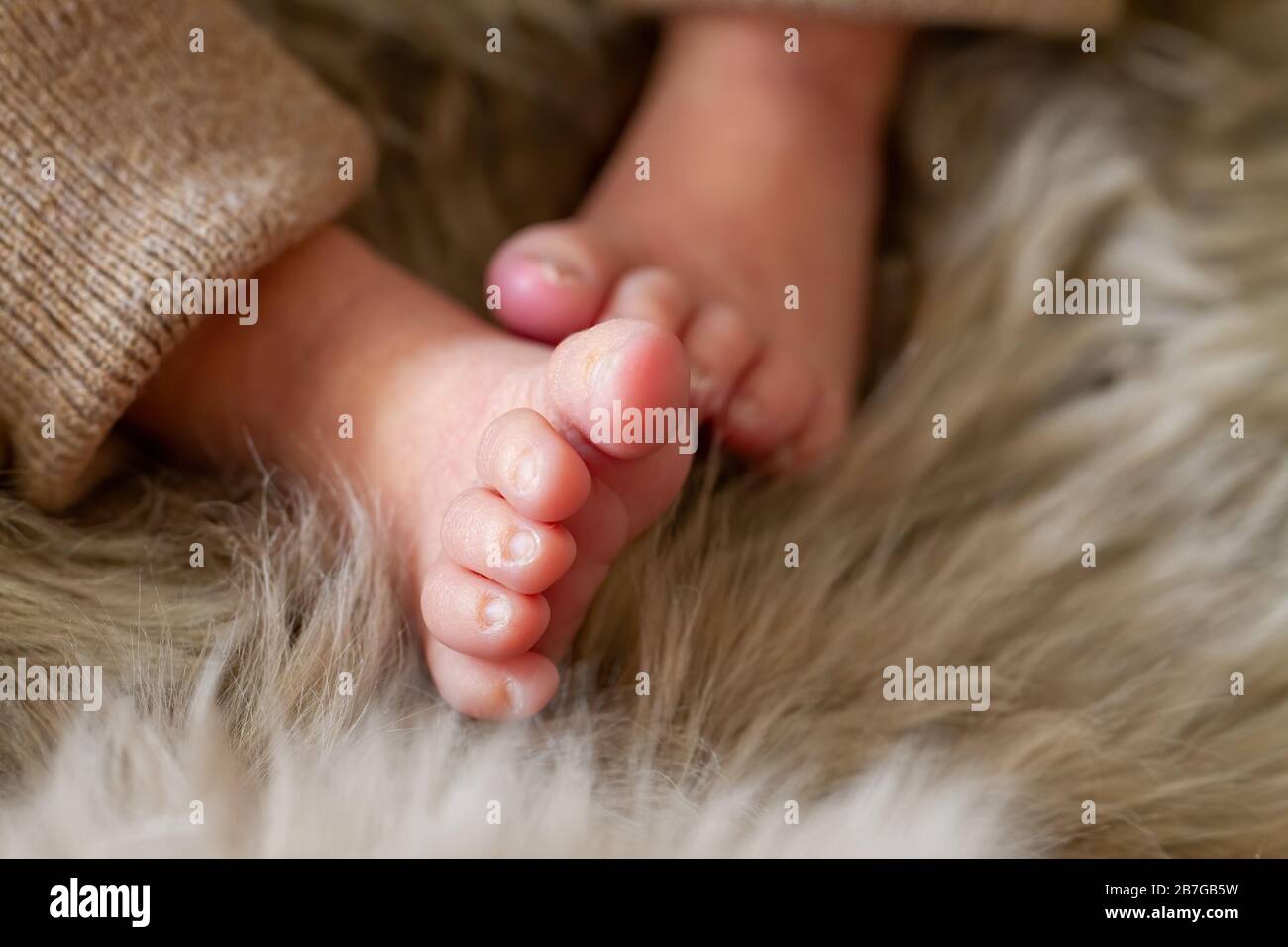 Pequeñas feet de un recién nacido (una semana de edad) Foto de stock
