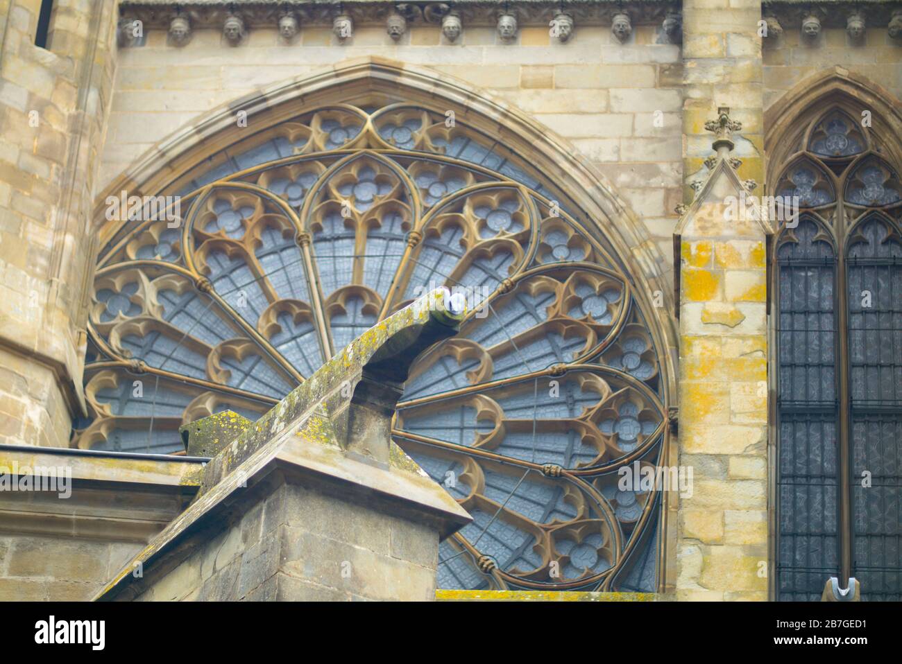 Carcassonne, gárgola en frente de cristal rosette ventana en la catedral Foto de stock