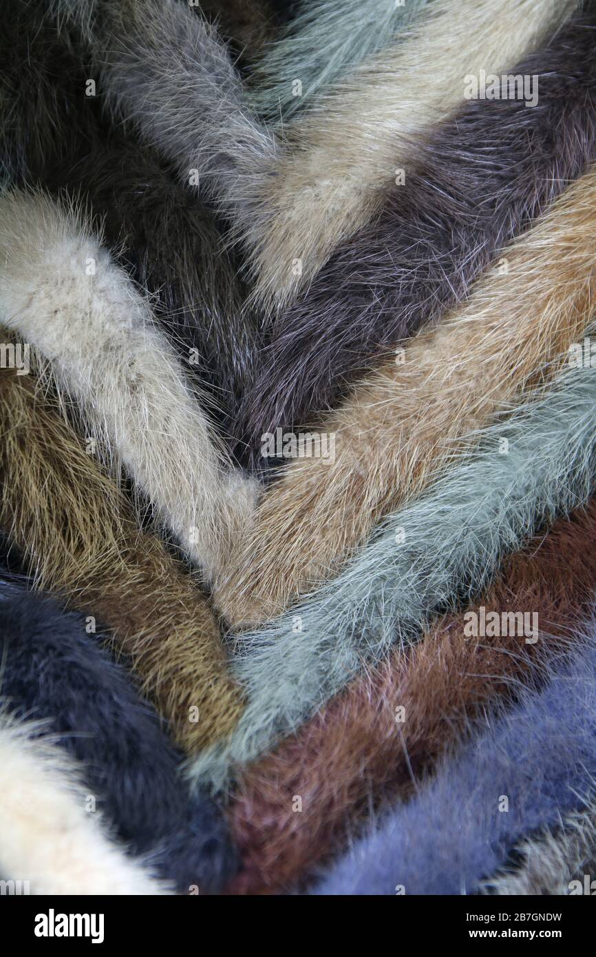 Abrigo hecho colas de visón de stock - Alamy