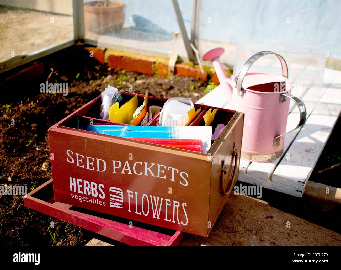 Cultiven sus propias semillas de alimentos y verduras Foto de stock