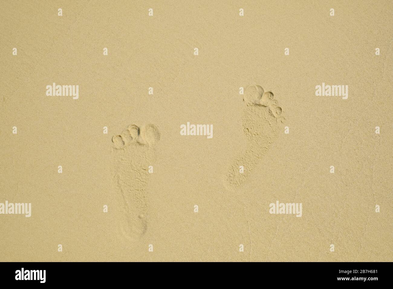 Huellas de un hombre caminando por la playa de arena. Foto de stock