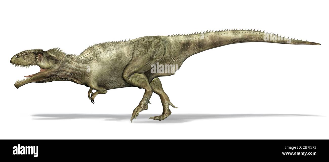 Dinosaurio Giganotosaurus. Vista lateral, ilustración fotorrealista 3d, sobre fondo blanco. Trazado de recorte incluido. Foto de stock
