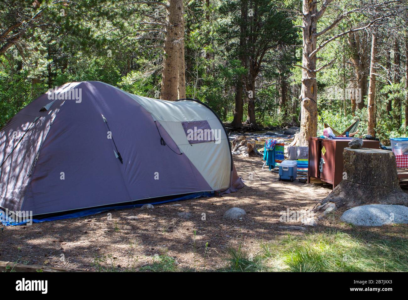 Camping Iris Meadow en Rock Creek en las montañas de Sierra Nevada, California Foto de stock