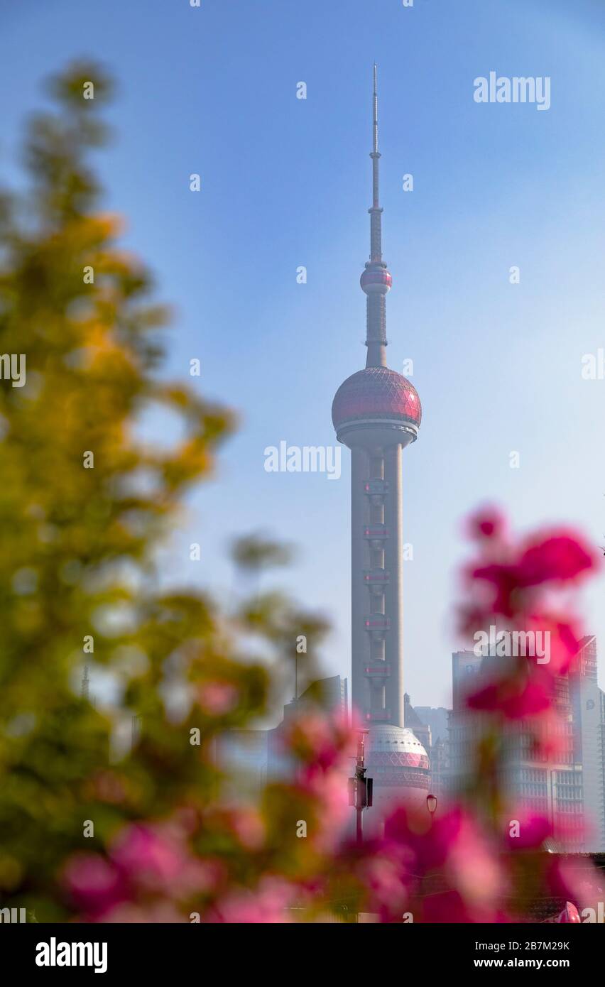La Oriental Pearl Tower en Pudong, Shanghai, China Foto de stock