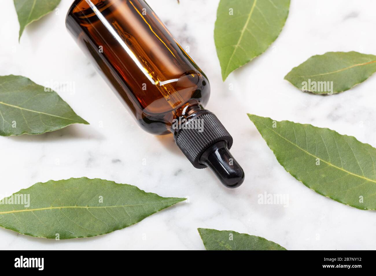 Aceite esencial de laurel Bay sobre mesa de mármol. Aceite de bahía en botella de vidrio con cuentagotas. Laurus nobilis Foto de stock