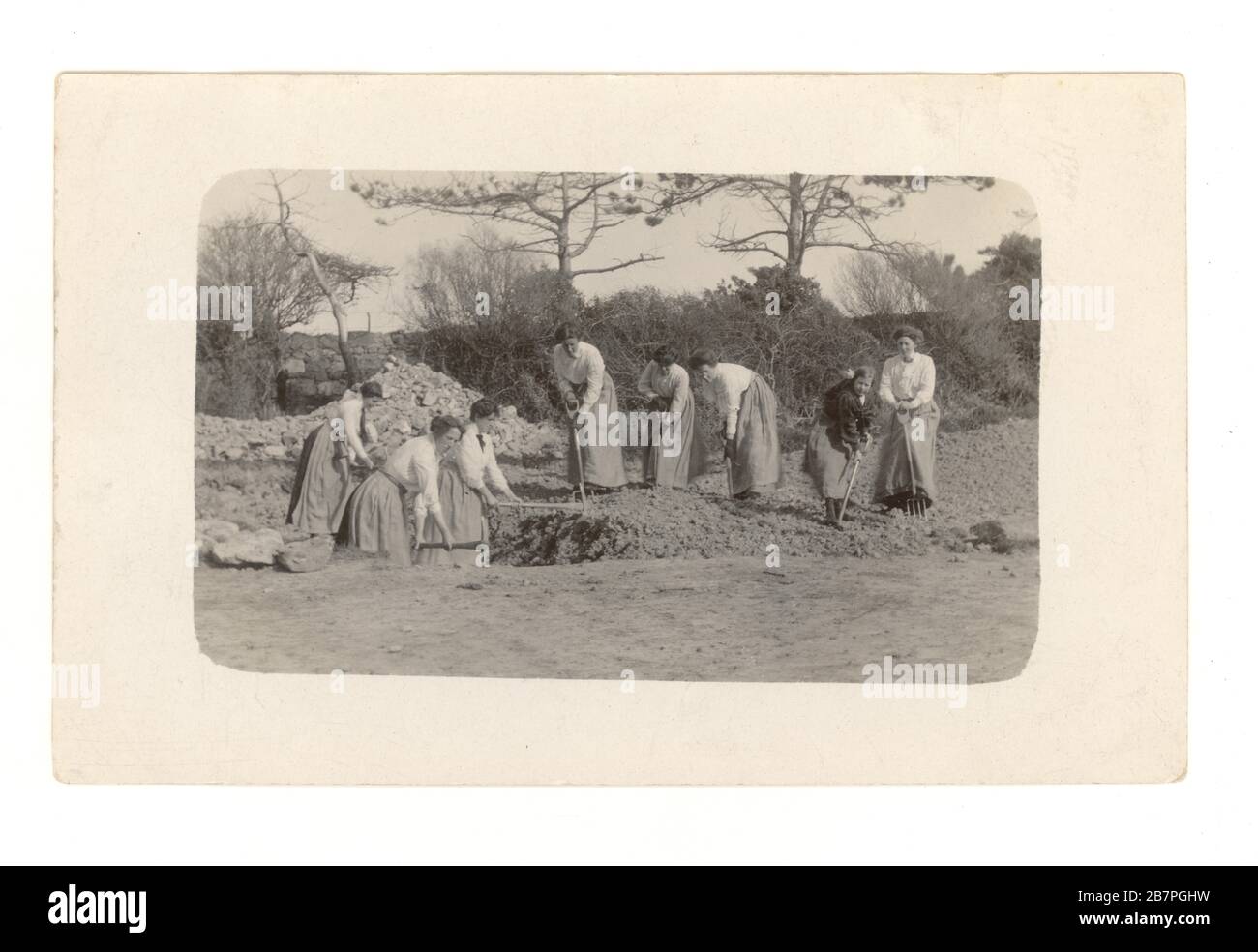 WW1 era postal de grupo de mujeres tierra niñas, haciendo trabajo de guerra - la construcción de una pista de granja, alrededor de 1916, Reino Unido Foto de stock