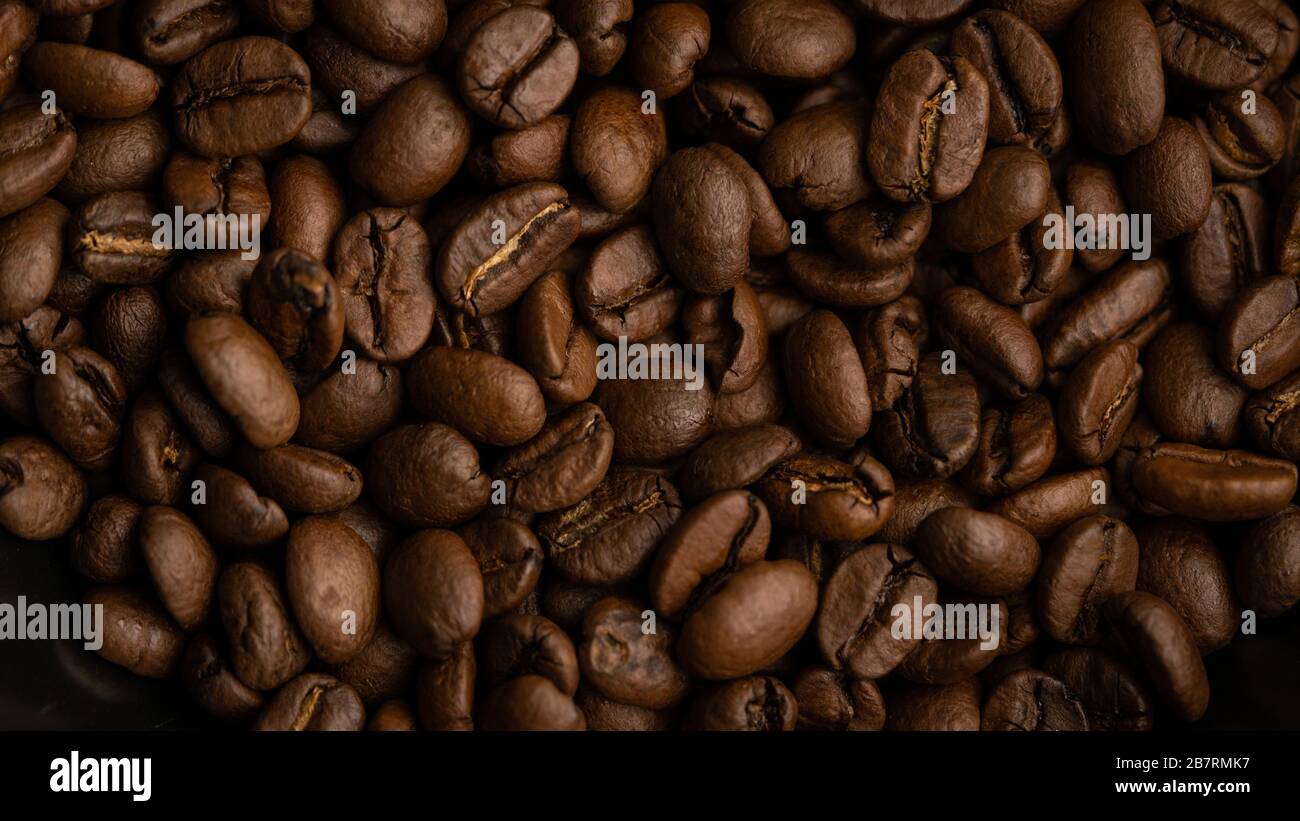 Muchos granos de café llenan todo el marco. Banner Foto de stock