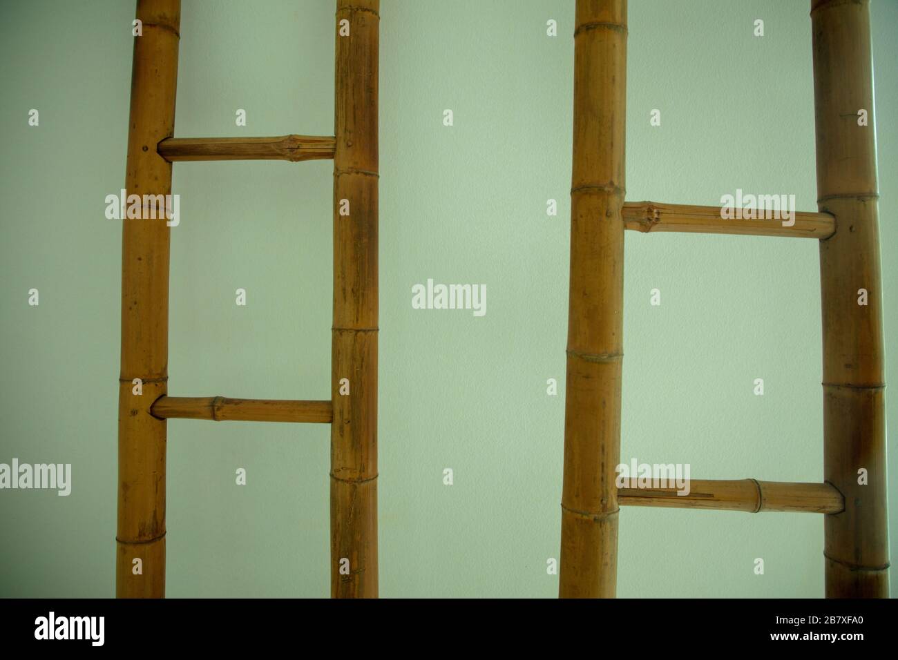 Escalera sencilla hecha con cañas de bambú. Bamboo Ladder