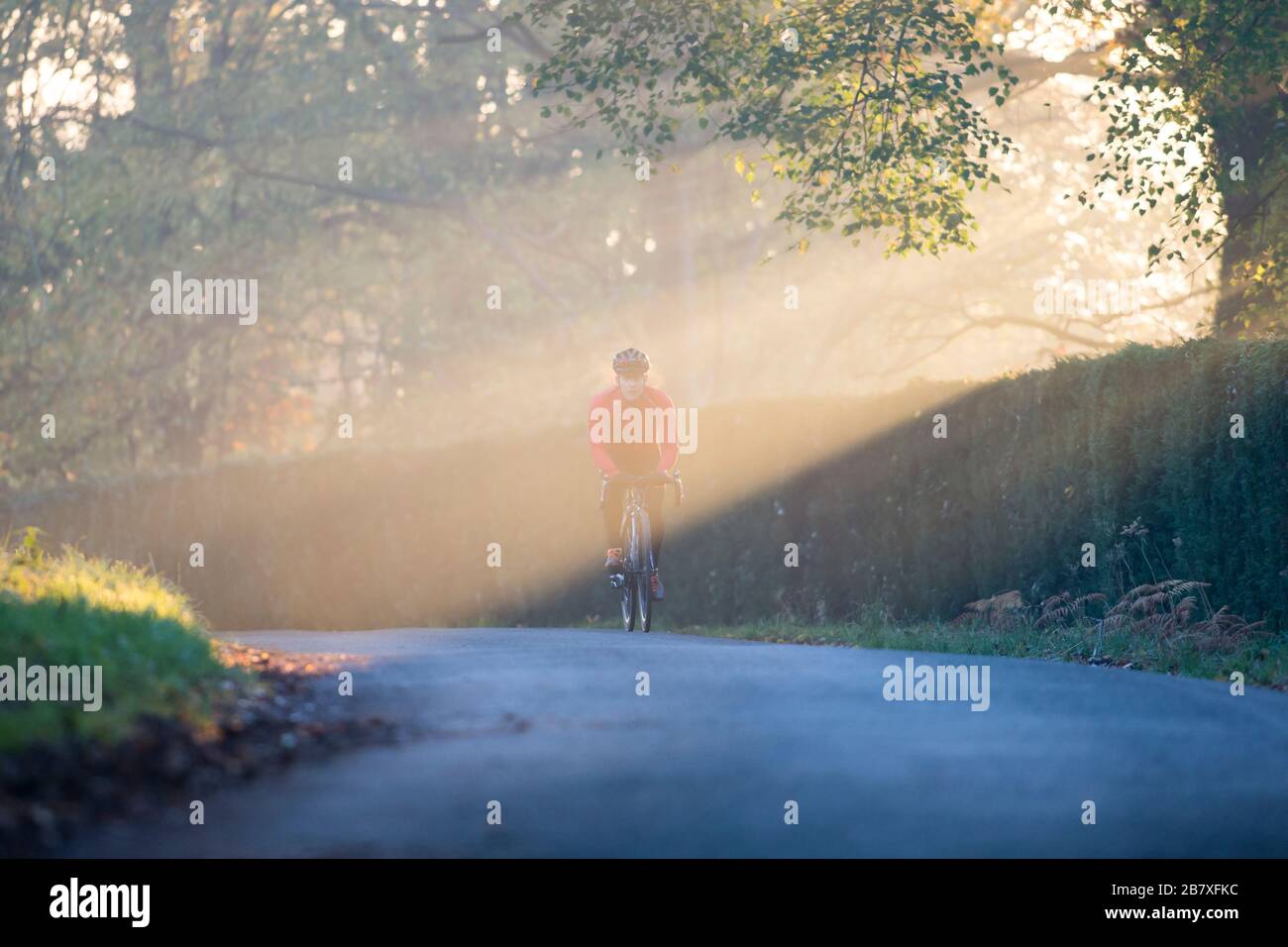 Ciclista masculino Ciclismo en la carretera de campo en la mañana luz del sol Foto de stock