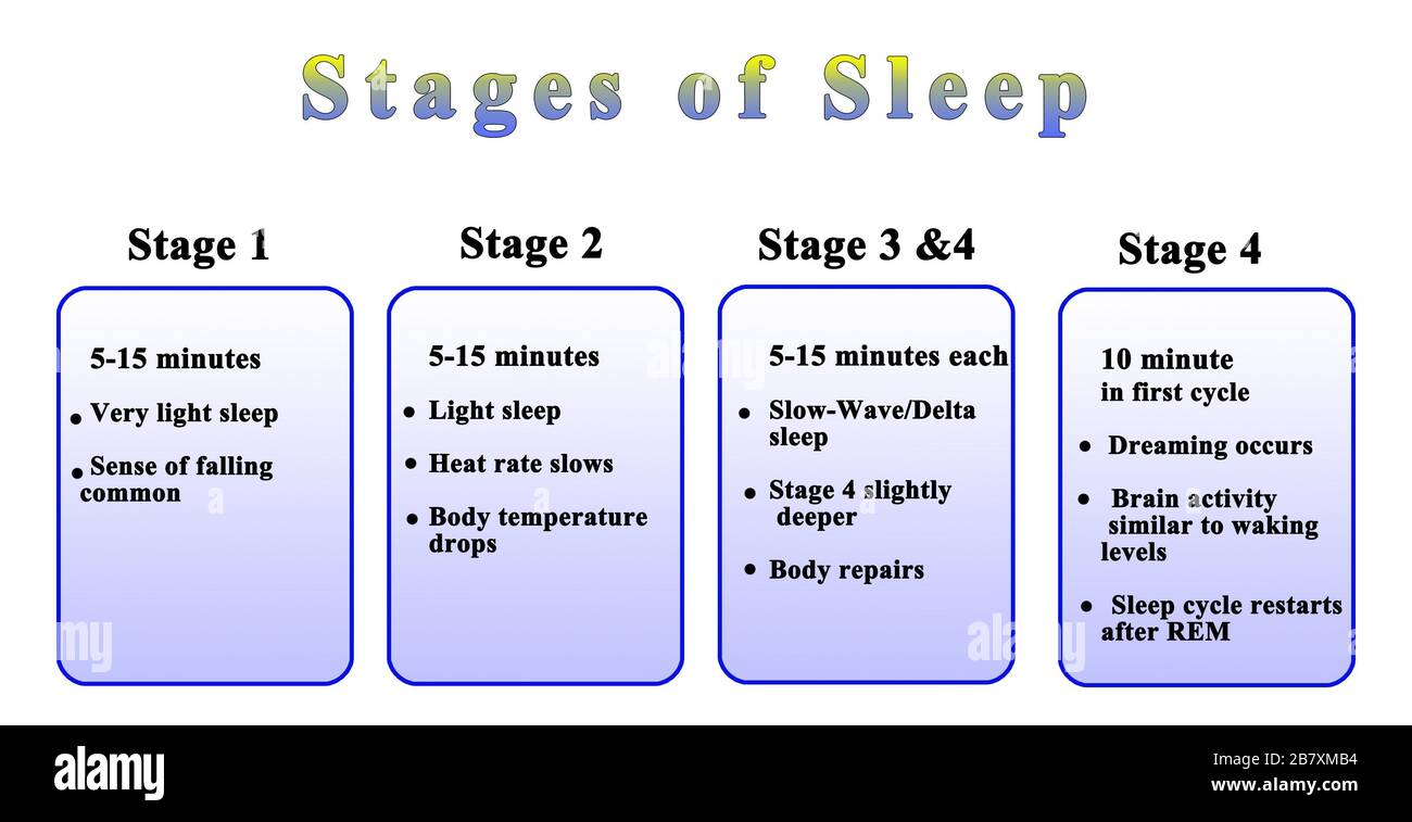 Cuatro etapas de sueño nocturno Foto de stock