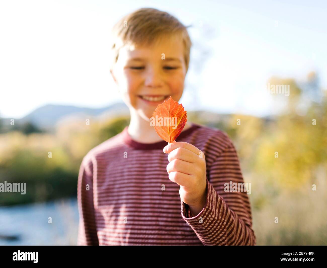 Niño sonriente sosteniendo la hoja de otoño Foto de stock