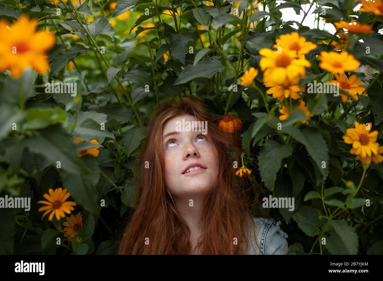 Adolescente por arbusto con flores de color naranja Foto de stock