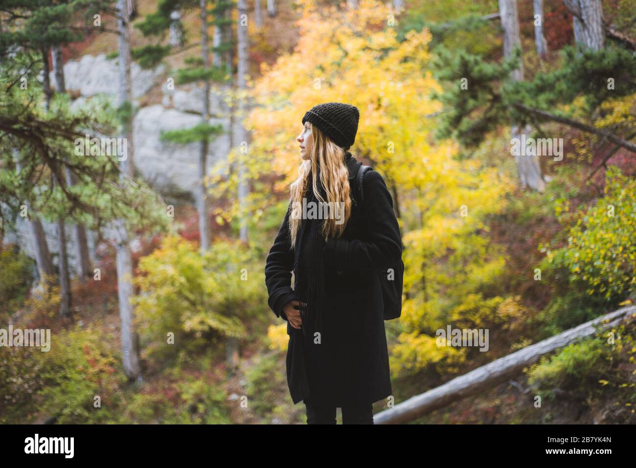 Mujer joven en el bosque de otoño Foto de stock