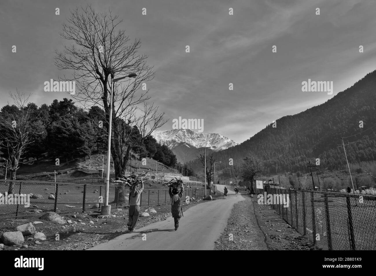 Mujeres portadoras de leña, Pahalgam, Cachemira, Jammu y Cachemira, India, Asia Foto de stock