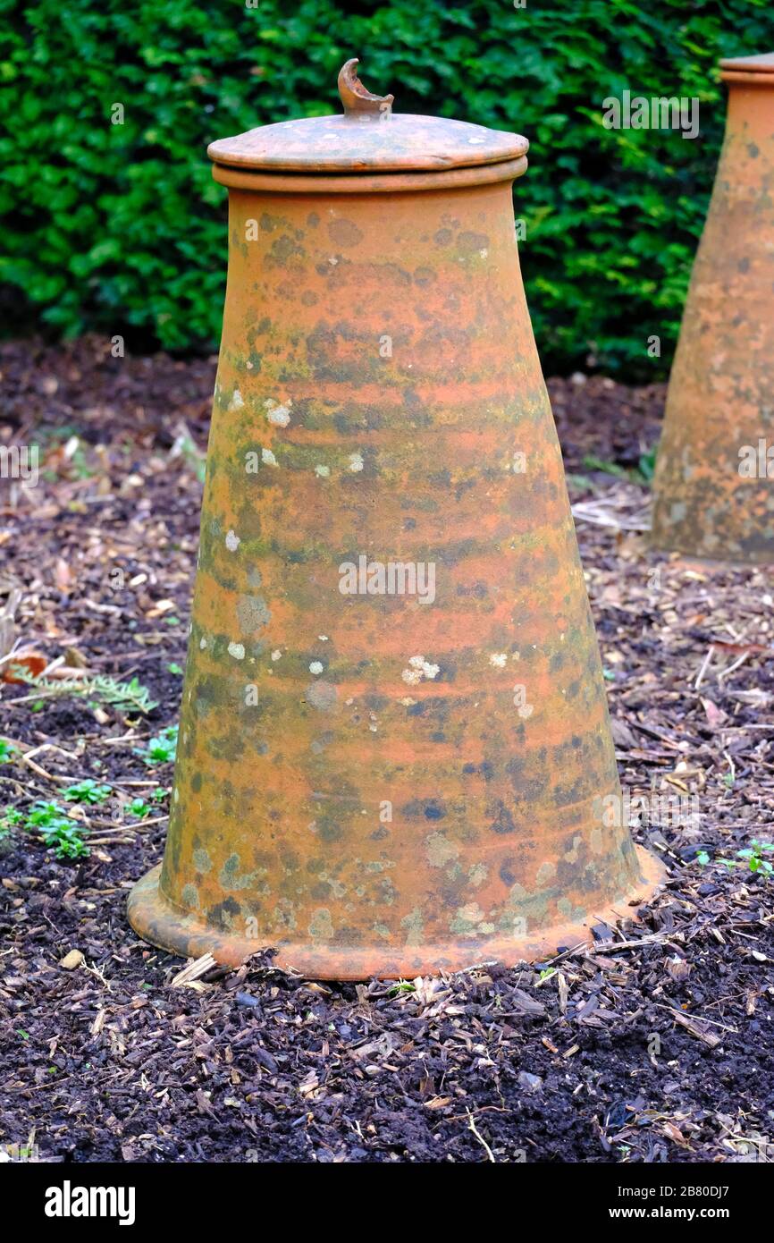 Gran Cuna de terracota en el jardín de invierno del Reino Unido Foto de stock