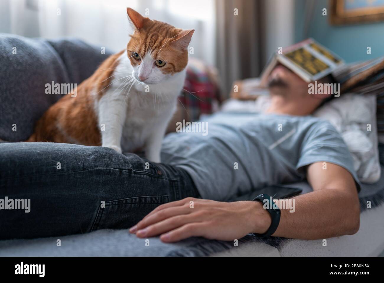 El joven se queda dormido en el sofá con un libro en la cara. Un gato blanco y marrón se sienta encima de él Foto de stock