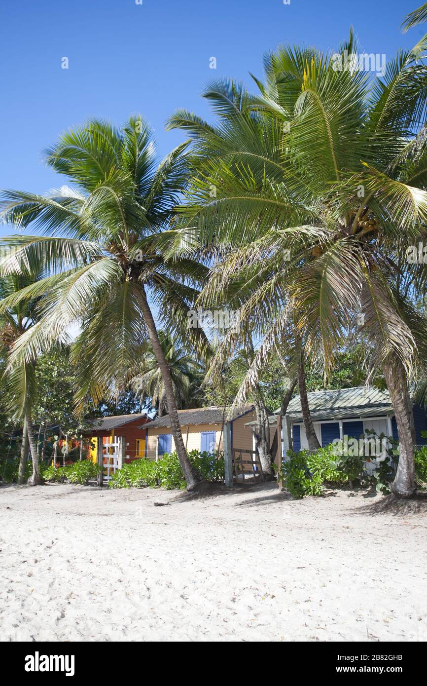 Casas de playa de colores típicos en la playa de Bayahibe, república