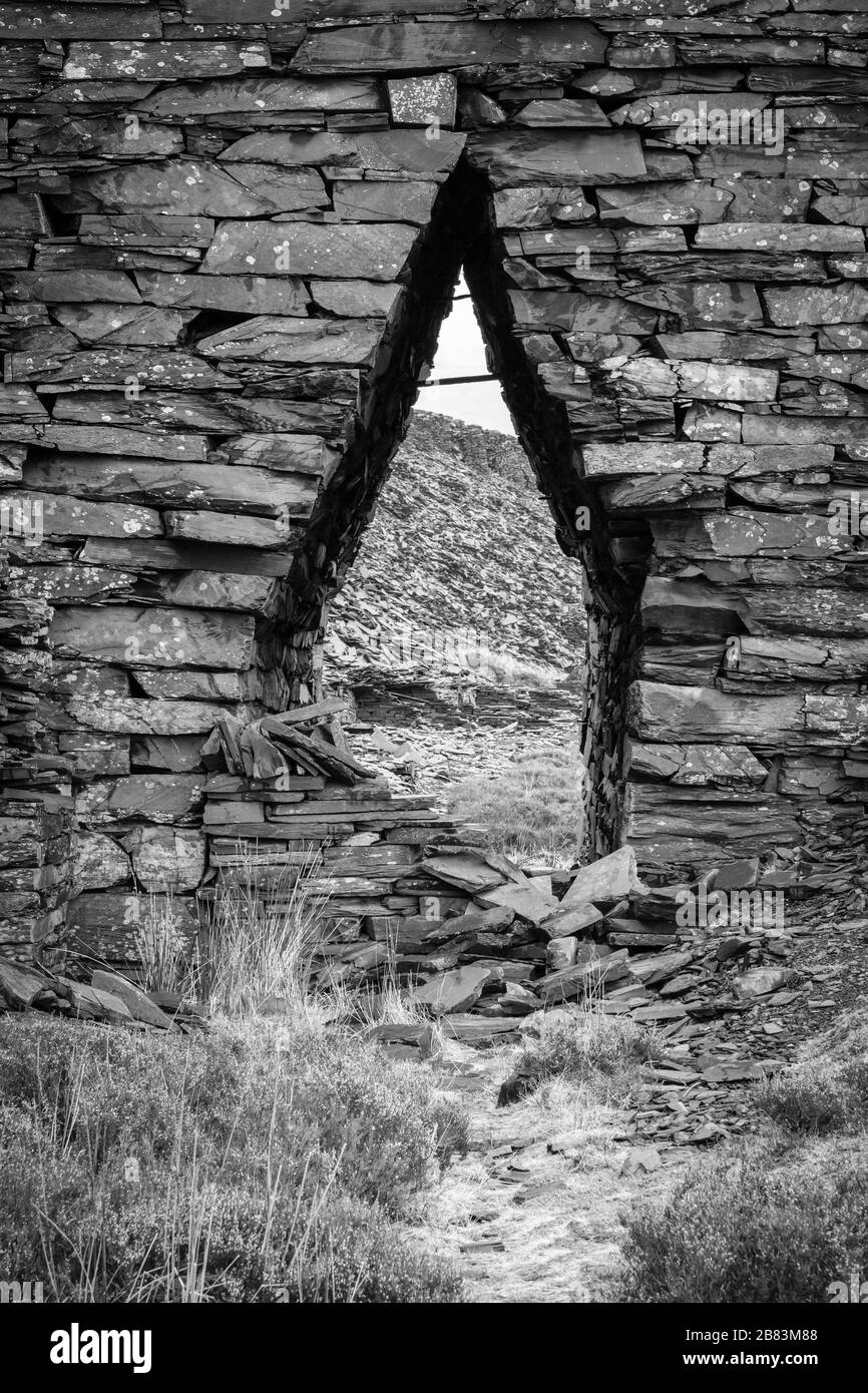 Snakes ladders Imágenes de stock en blanco y negro Alamy