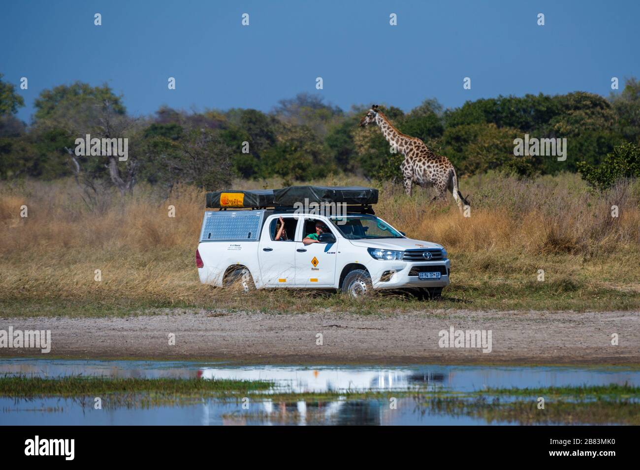 Vehículo todoterreno en la Reserva de animales de Moremi, Delta de Okavango, Botswana. Foto de stock