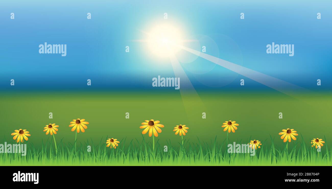 Soleado fondo de primavera con flores de margarita sobre verde prado vector ilustración EPS10 Ilustración del Vector