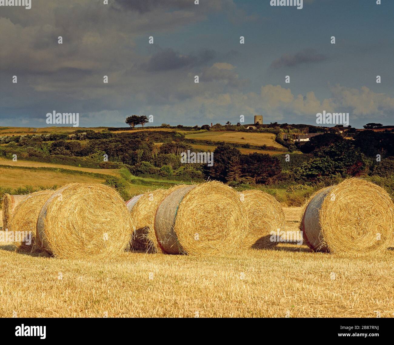 Islas del Canal. Guernsey. Campo rural. Fardos de paja en el campo. Foto de stock