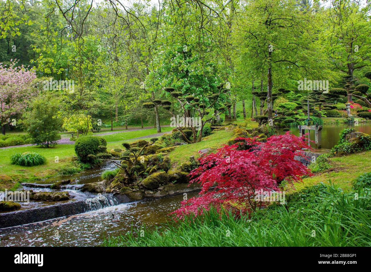 Jardín ideal japonés l en Maulevrier con árboles cultivados figurados. Paga dela Loire provincia, Francia. Mayo idílico en primavera. Foto de stock