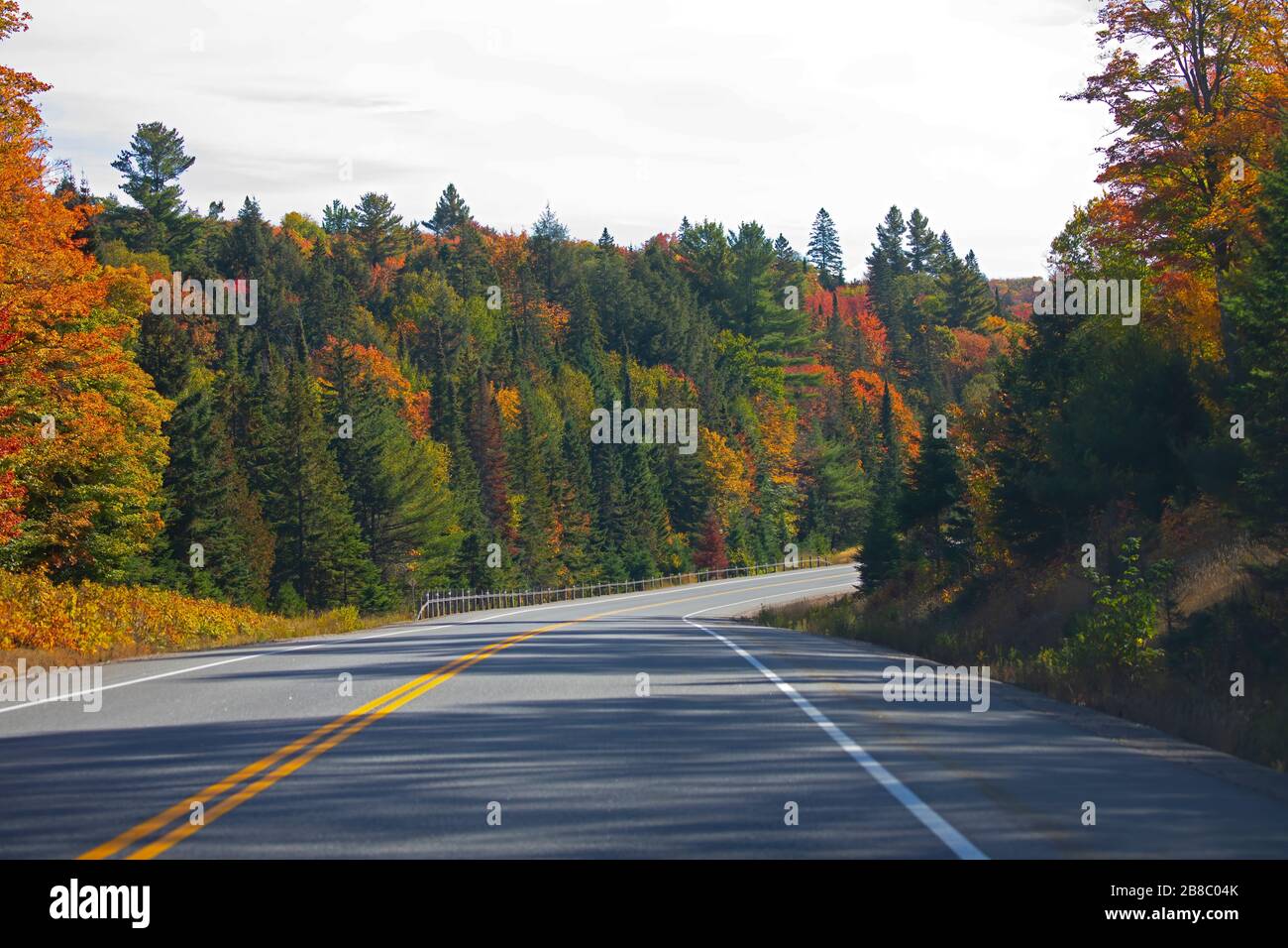 Tome la autopista 60 en Algonquin Park, Canadá Foto de stock