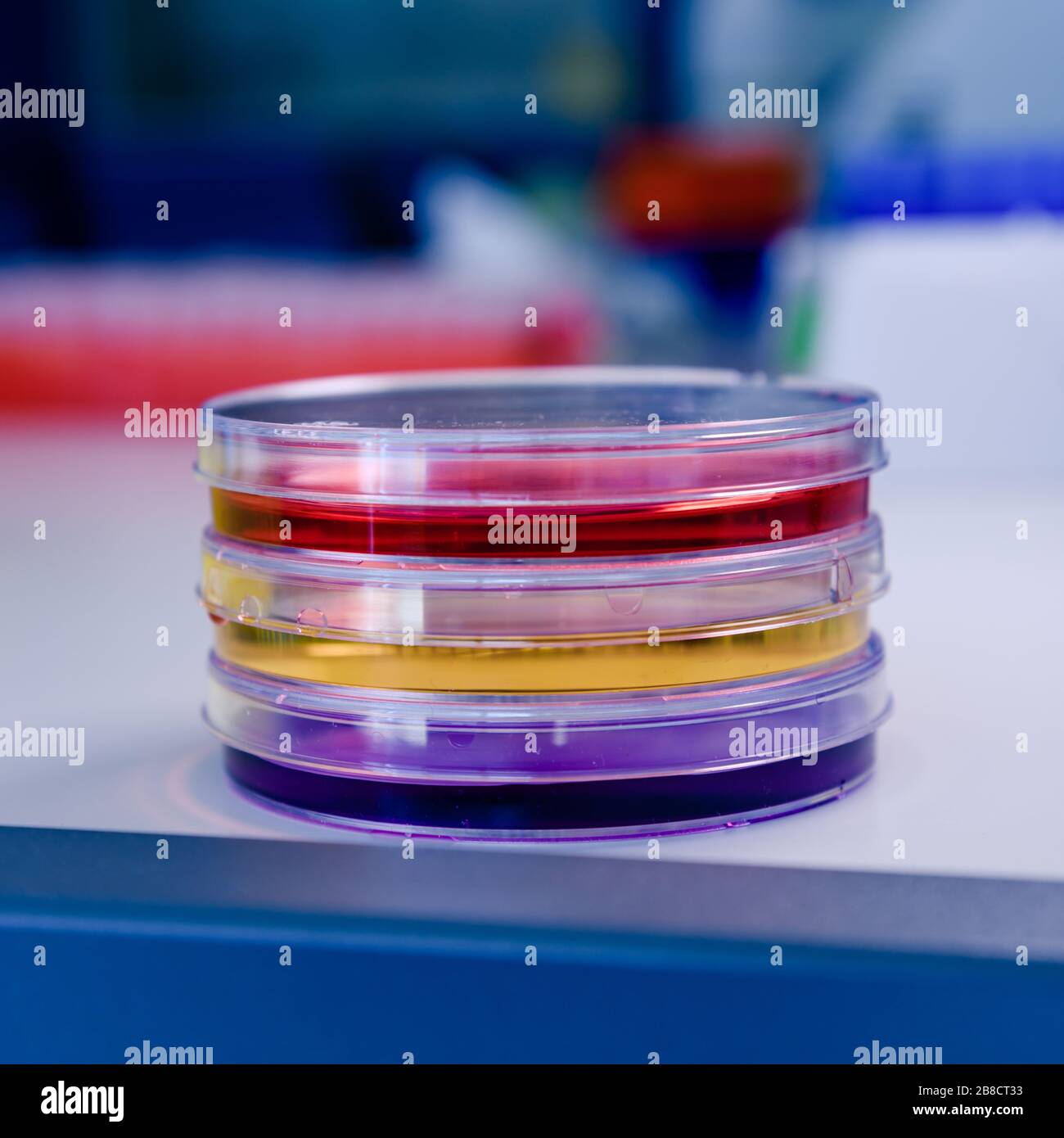 Torre de platos Petri con diferentes tintes y pruebas. Concepto de ciencia, laboratorio y estudio de enfermedades. Desarrollo del tratamiento con coronavirus (COVID-19) Foto de stock