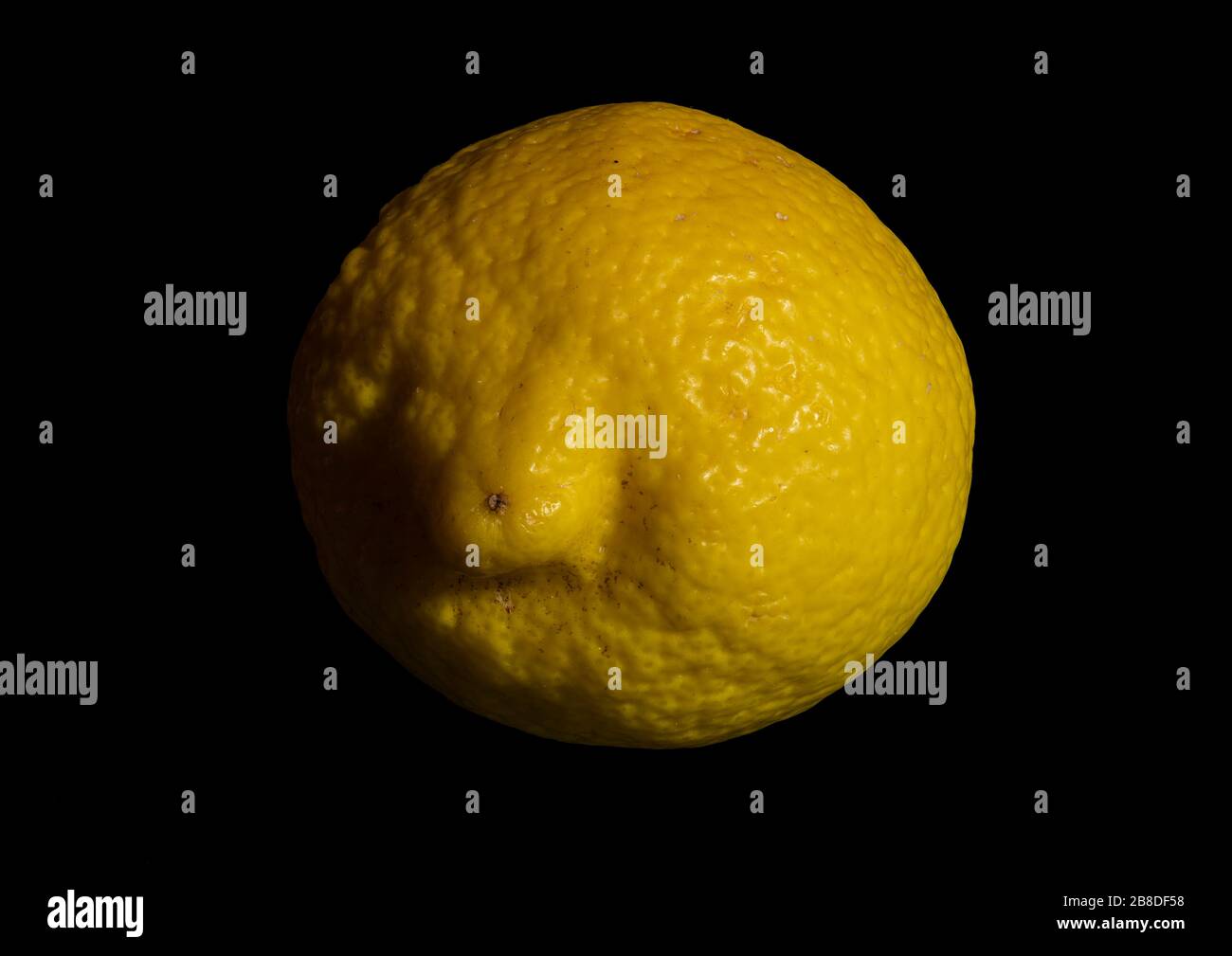 Imagen de primer plano de un limón orgánico mediante una técnica de apilado de enfoque que renderiza los sujetos con un enfoque nítido de delante hacia atrás Foto de stock