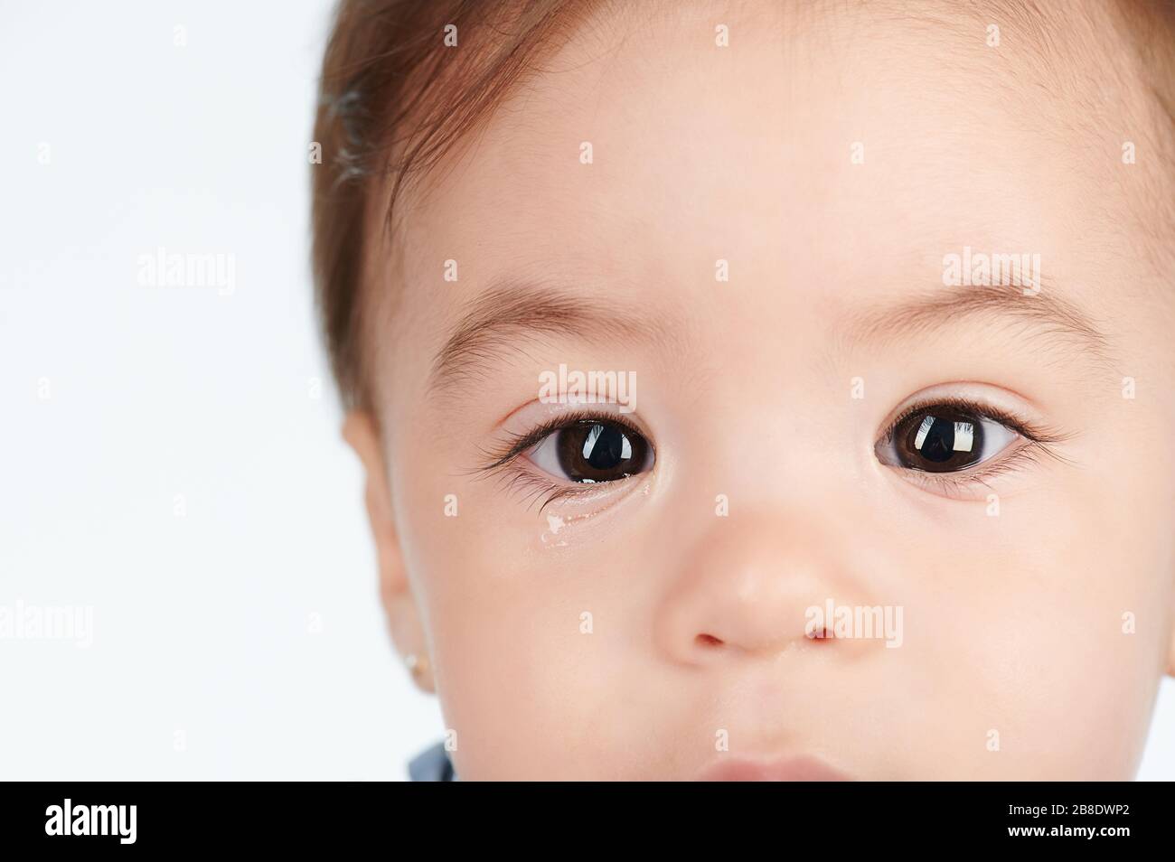 Primer Plano De Ojo De Nino Con Desgarro Aislado Sobre Fondo Blanco Fotografia De Stock Alamy Primer Plano De Ojo De Nino Con Desgarro Aislado Sobre Fondo Blanco Fotografia De Stock Alamy