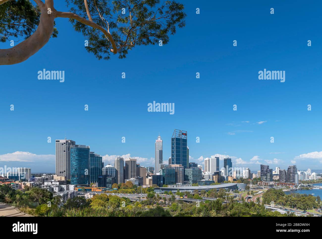 Horizonte de Perth. Vista del horizonte del Distrito Central de Negocios desde King's Park, Perth, Australia Foto de stock