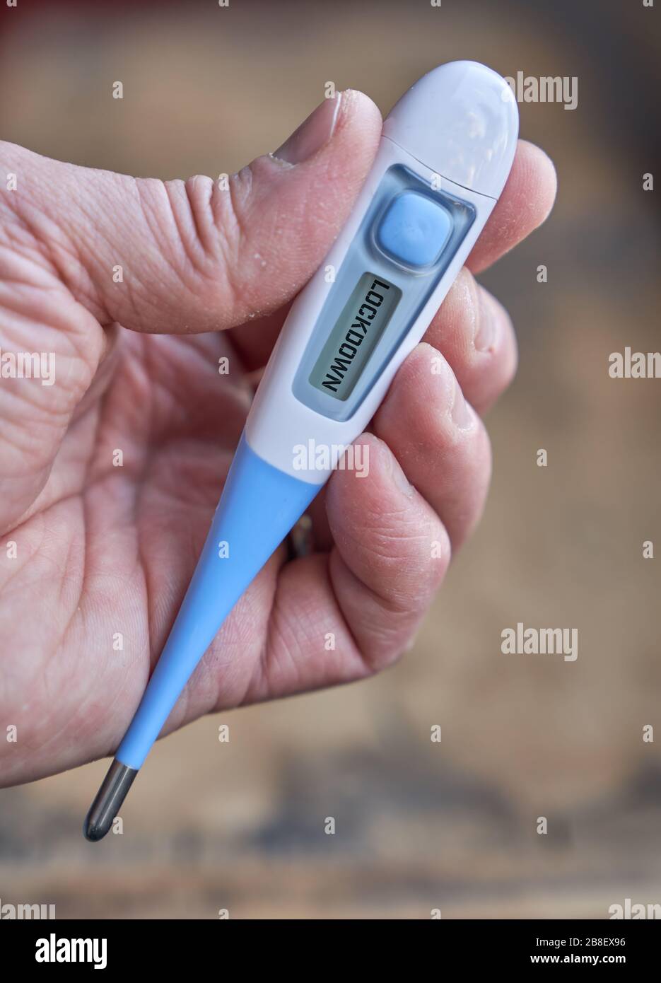 La mano masculina sostiene un termómetro clínico con texto de bloqueo en la pantalla durante la pandemia global de covid-19 o corona Foto de stock