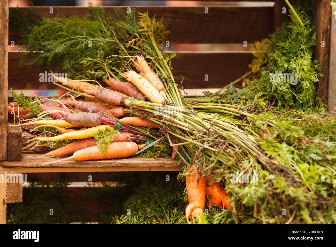 Paquetes de zanahorias en una caja de madera Foto de stock