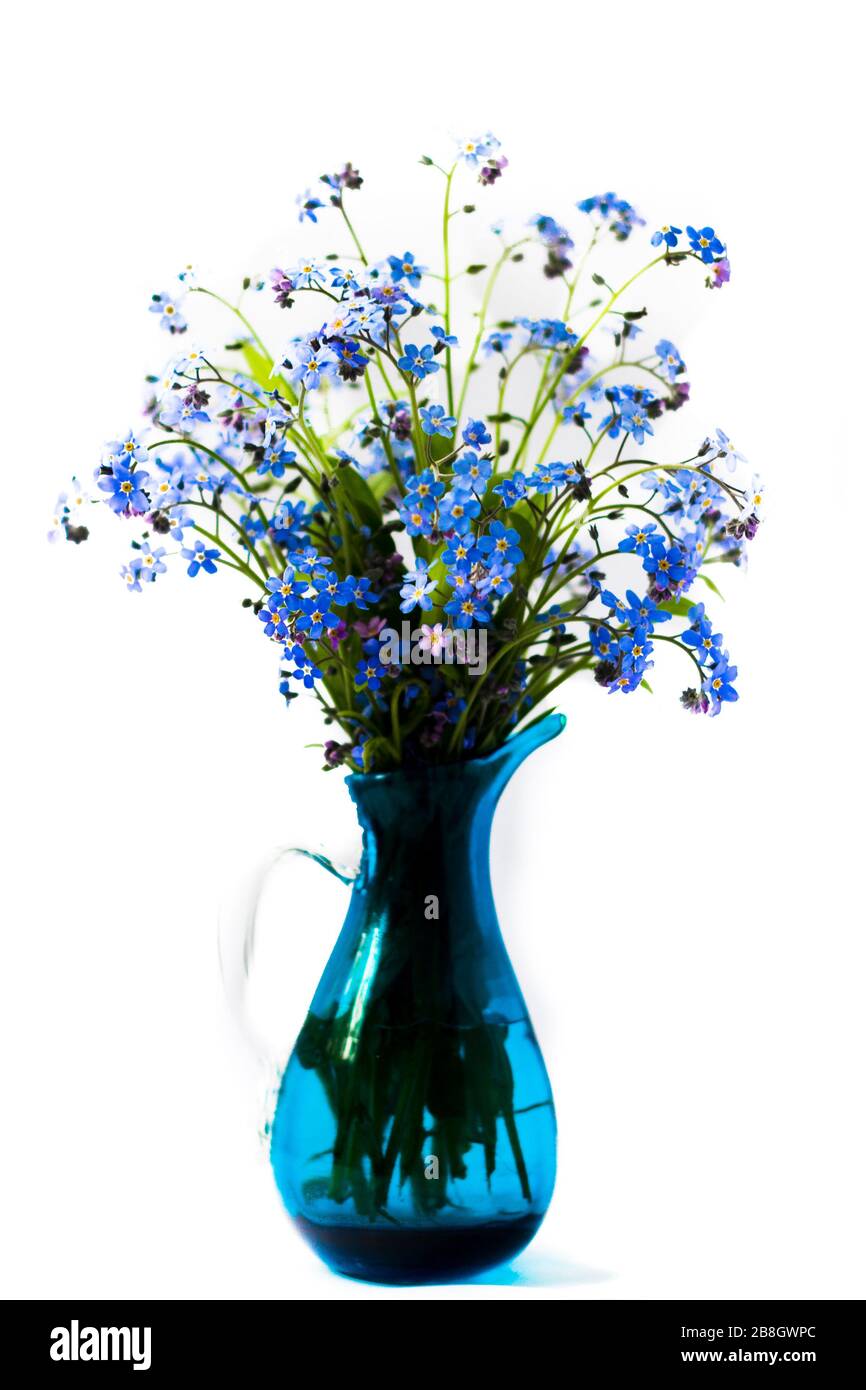 Ramo de hermosos azul olvidar-me-pobres. Flores azules Fotografía de stock  - Alamy