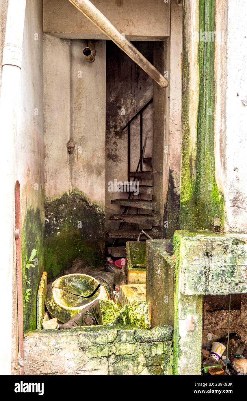 Las condiciones de humedad caliente dan lugar a que el musgo crezca en las paredes de la parte trasera de un edificio en Kuala Lumpur, Malasia. Foto de stock