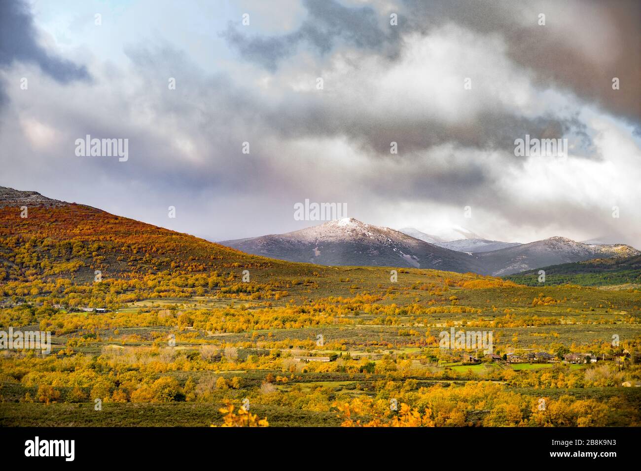 Montañas nevadas rodeadas de árboles amarillos Foto de stock