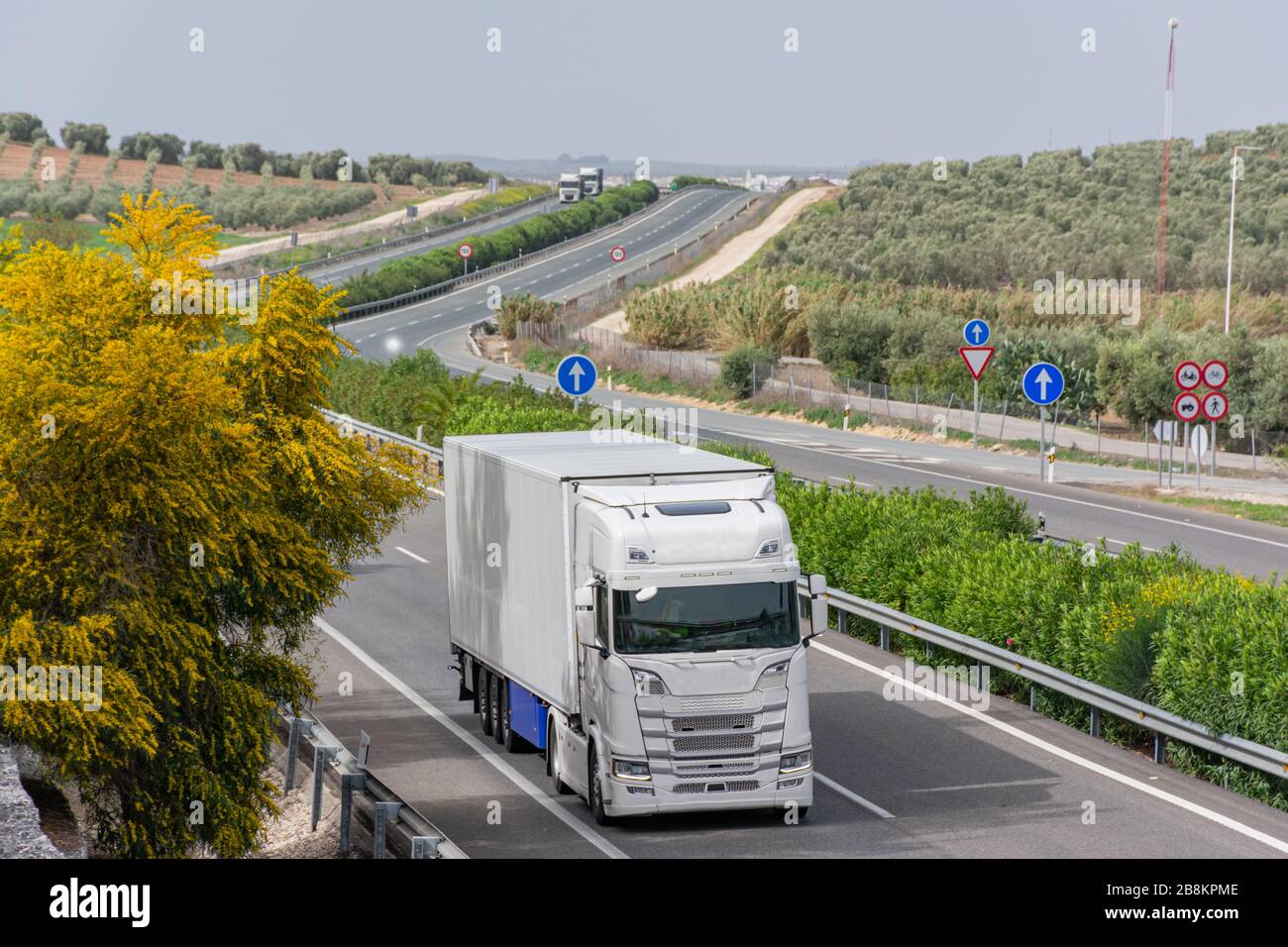 Camión articulado con semirremolque refrigerado para el transporte de alimentos perecederos que circulan por la carretera Foto de stock