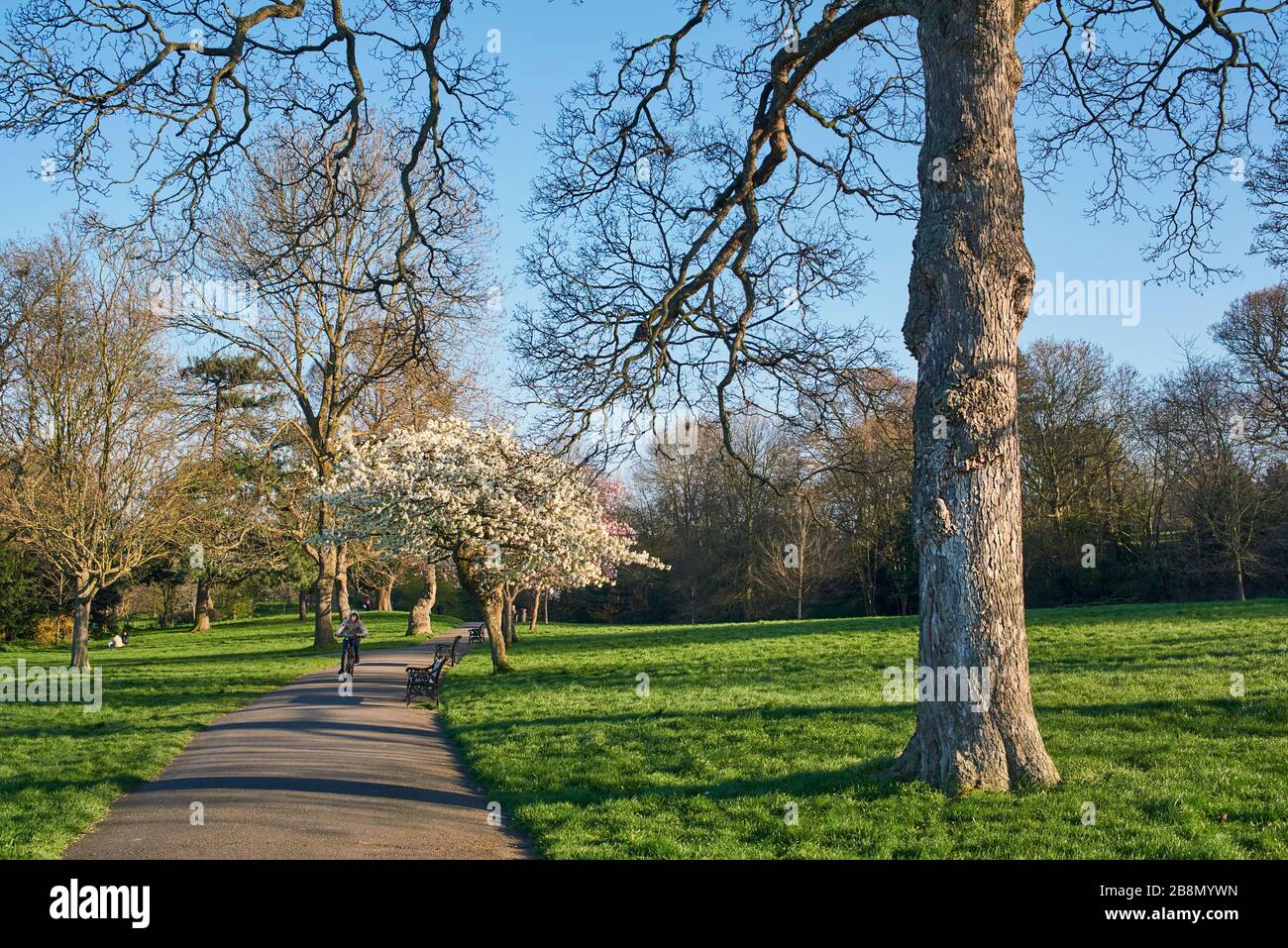 Springfield Park, Upper Clapton, North London UK, en primavera Foto de stock
