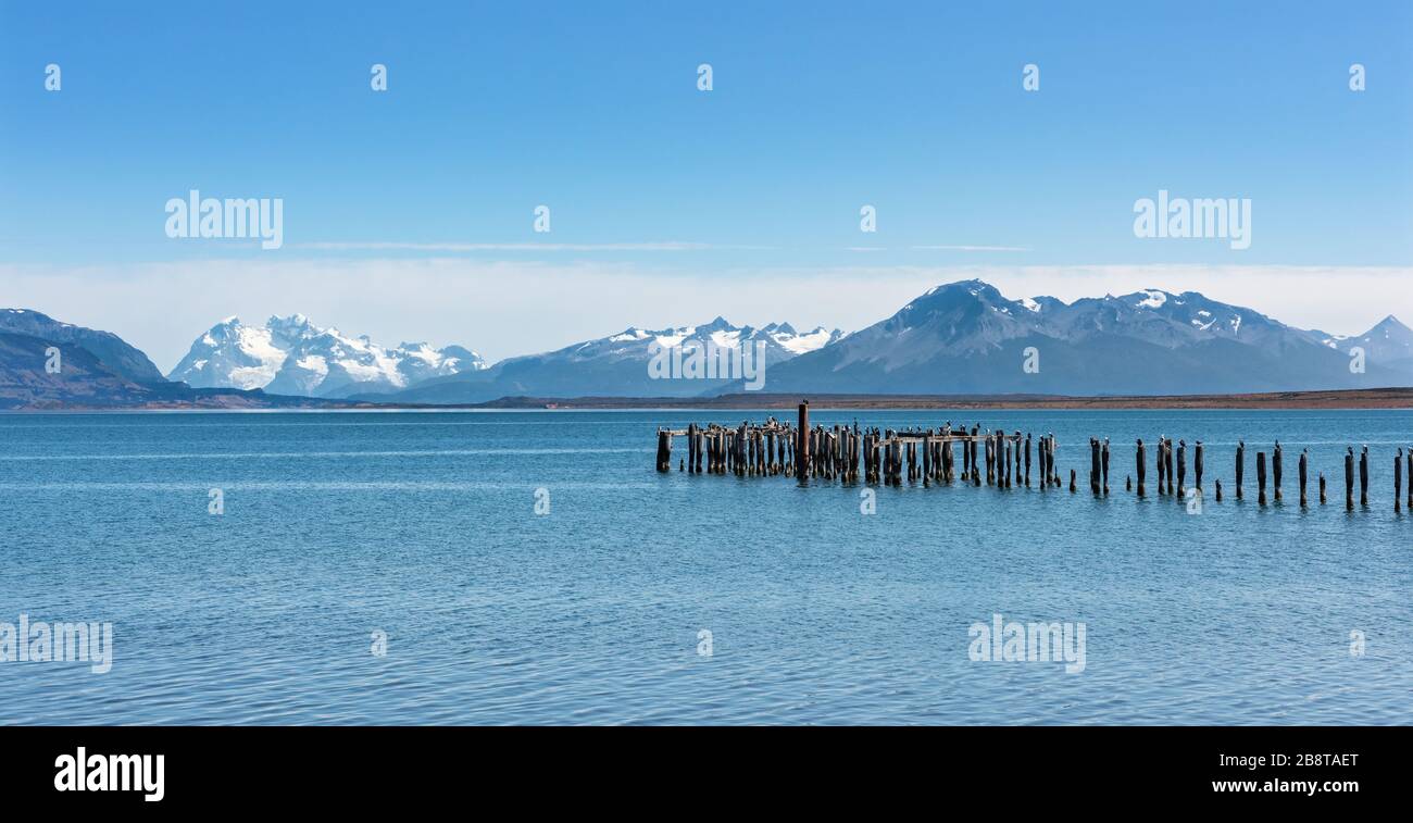 Antiguo embarcadero con cormoranes de rey en el fiordo Ultima Esperanza cerca de Puerto Natales, Patagonia, Chile Foto de stock