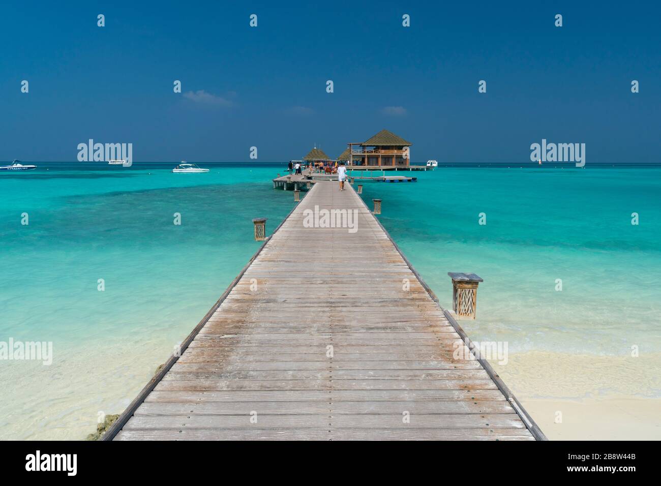 Playa de arena de la isla tropical en las Maldivas Foto de stock