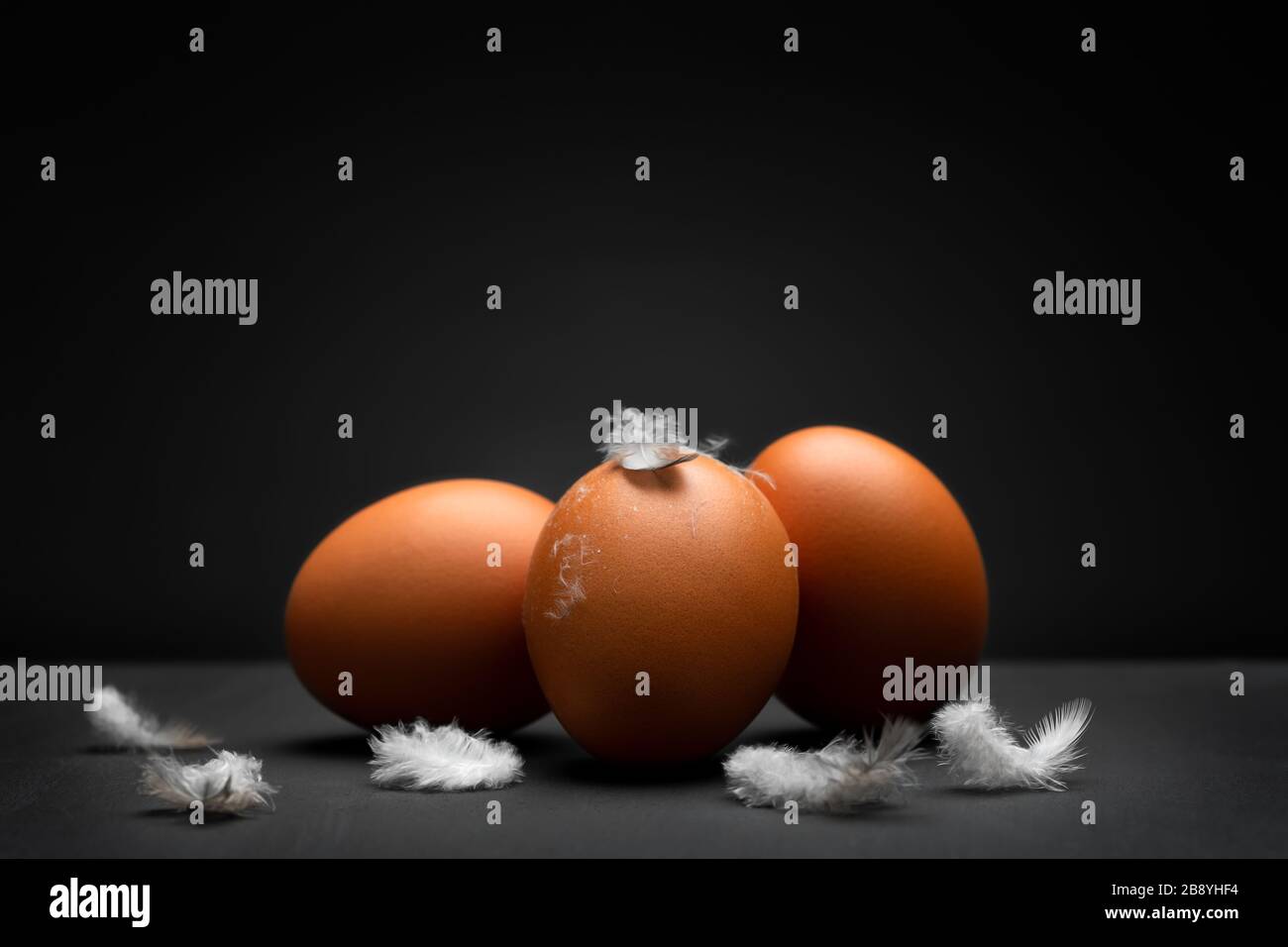 Primeros planos con huevos y plumas de pollo con fondo oscuro a baja altura Foto de stock