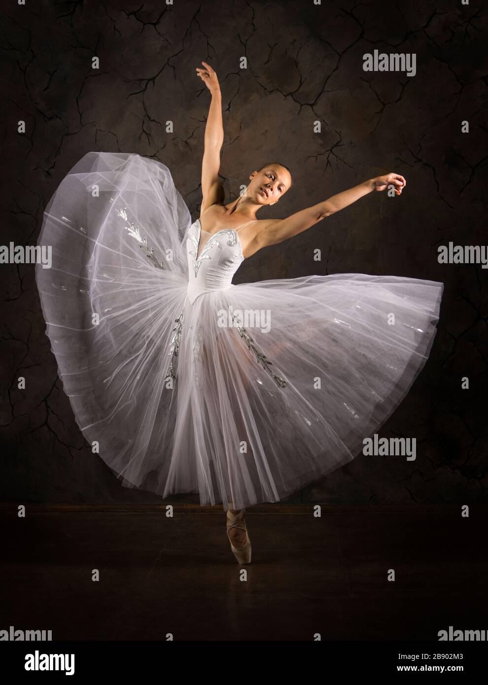 Una mujer en un tutú rojo bailando ballet. Estudio sobre fondo blanco,  imagen aislada Fotografía de stock - Alamy