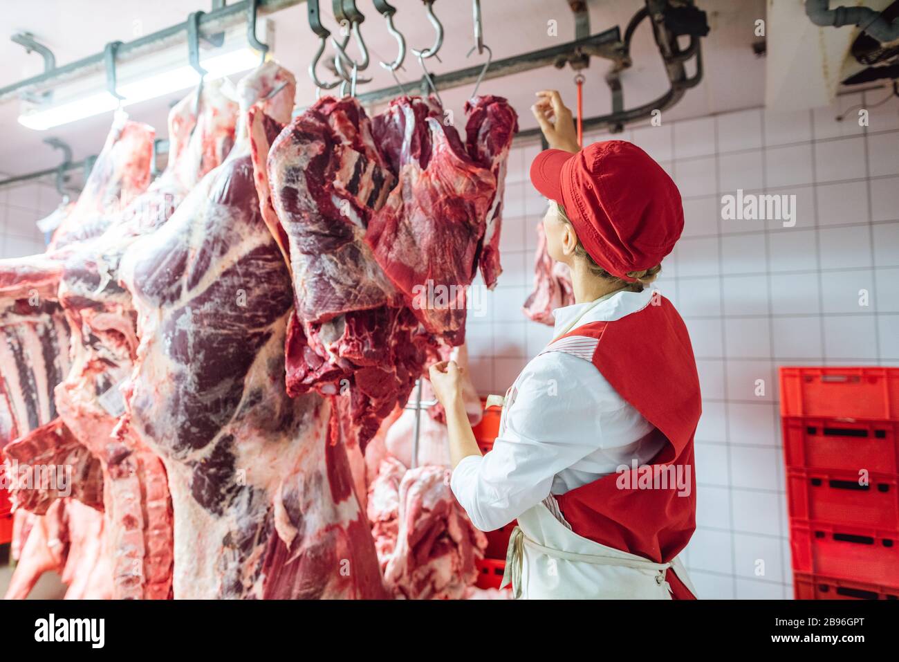 Carnicero mujer inspeccionando el pedazo de carne a procesar Foto de stock
