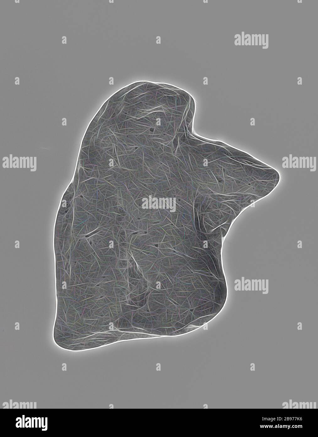 Trescientos sesenta y cinco fotografías e imágenes de alta resolución