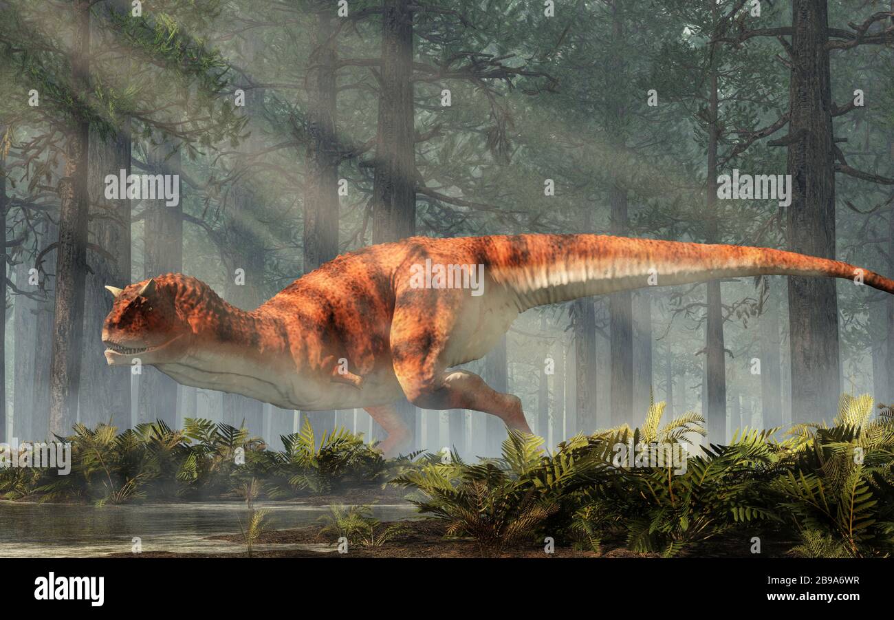 Carnotaurus era un dinosaurio carnívoro terópodo con cuernos en la