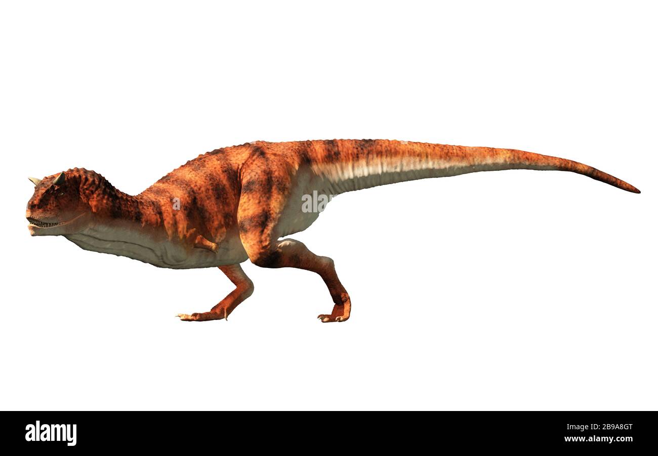 Carnotaurus era un dinosaurio carnívoro terópodo con cuernos en la cabeza que vivía en la era Cretácica de América del Sur. Sobre un fondo blanco. Renderizado 3D Fotografía de stock - Alamy Carnotaurus era un dinosaurio carnívoro terópodo con cuernos en la cabeza que vivía en la era Cretácica de América del Sur. Sobre un fondo blanco. Renderizado 3D Fotografía de stock - Alamy