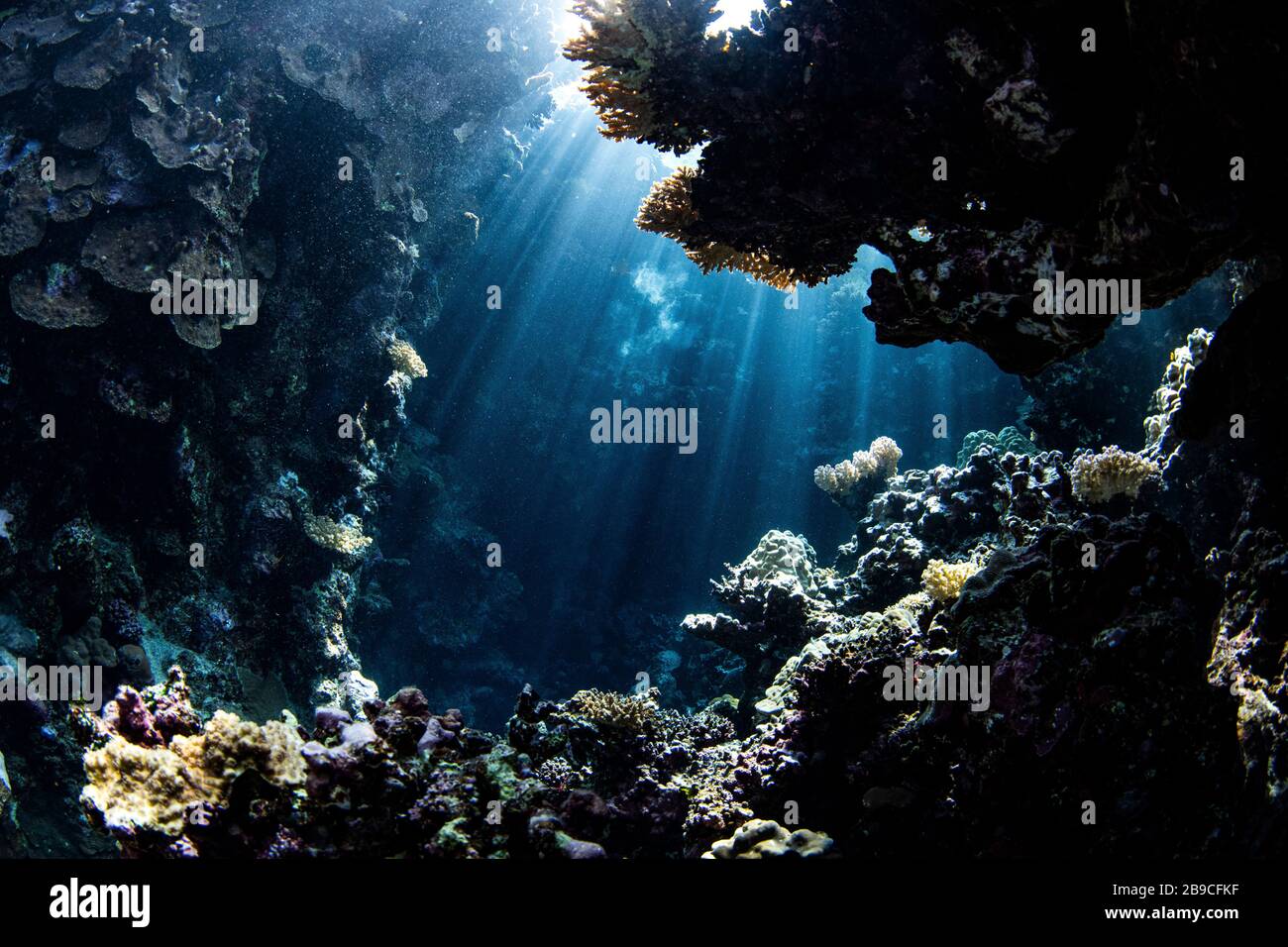 Las vigas del sol iluminan las cavernas submarinas, el Mar Rojo. Foto de stock