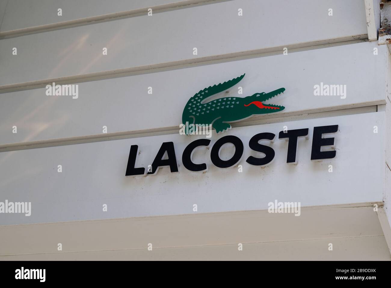 lacoste crocodile gris